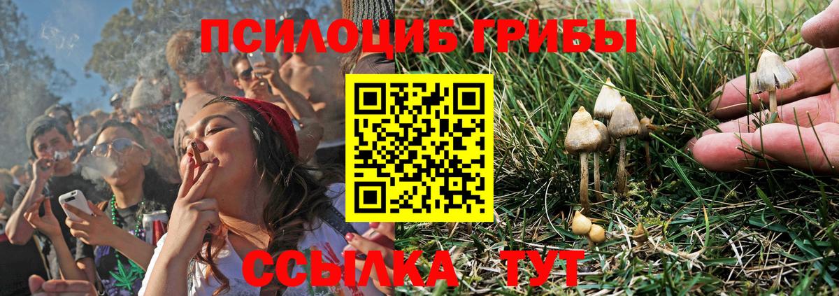 Псилоцибиновые грибы Psilocybe  Галлюциногенные грибы мицелий  Вход с VPN  где продают   Ачинск 